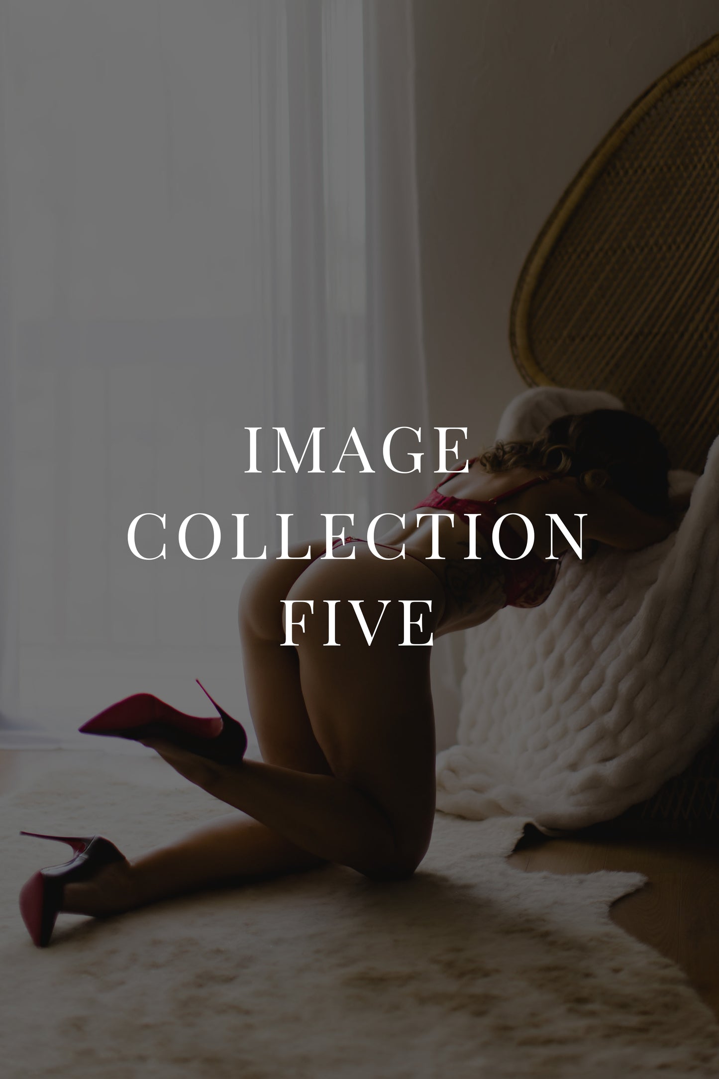 Collection 5: The Petite Perfection